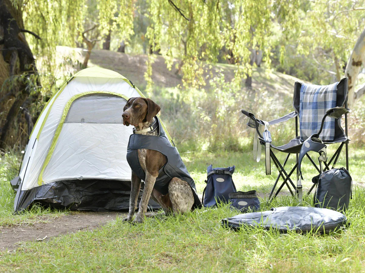 Travel & Outdoor Gear