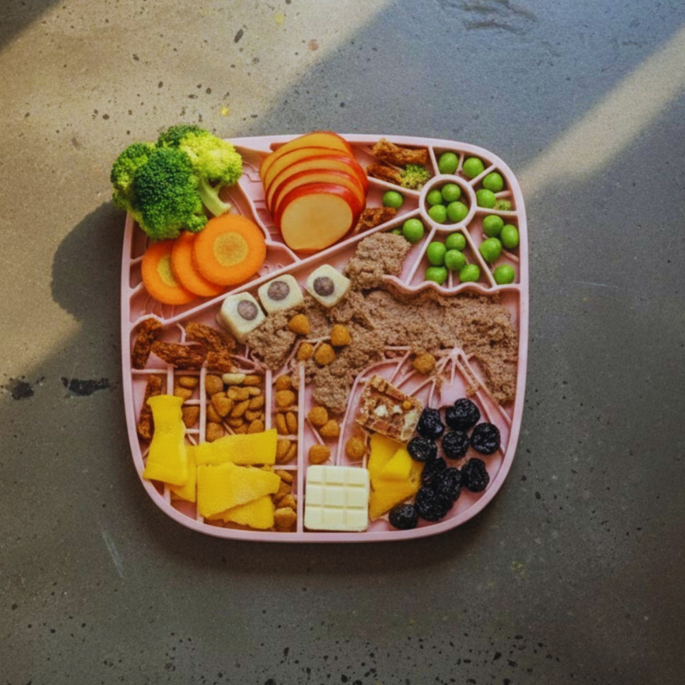 Enrichment Feeding Tray