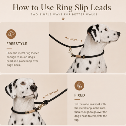 Premium Crossbody Dog Leash
