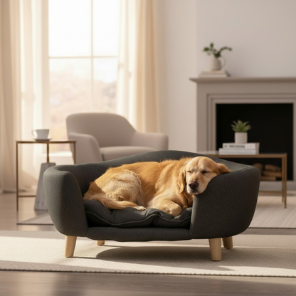 Modern Lounge Dog Bed
