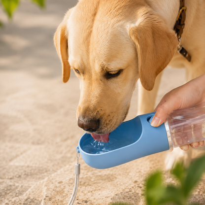 Portable water bottle