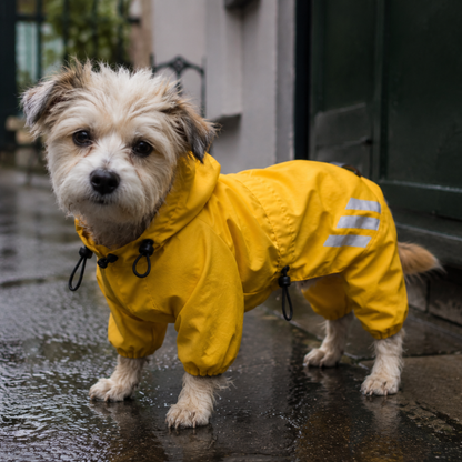Full-Cover Waterproof Dog Raincoat