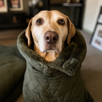 Winter Dog Jacket
